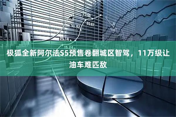 极狐全新阿尔法S5预售卷翻城区智驾，11万级让油车难匹敌